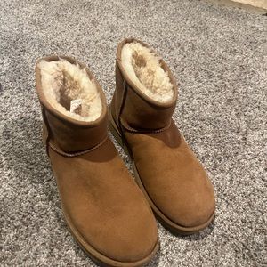 Ugg minis